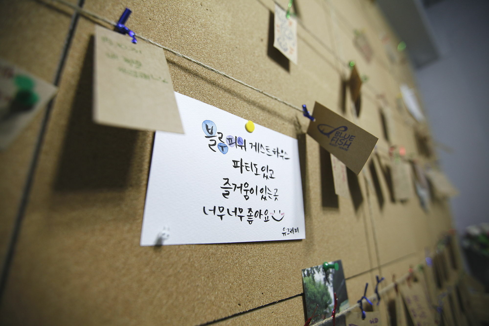 Bluefish Guesthouse Busan Exterior photo